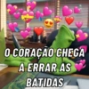 BOIOLINHA POR VOCÊ 💖💗✌🏻 15