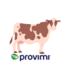 Sprovimi