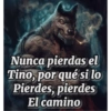 Nunca pierdas el Tino, por qué si lo Pierdes, pierdes El camino