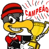 Urubu de Flamengo 12