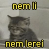nem li
nem lerei