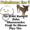 Pehchana Ise? SACHIN Ye Wahi Kutta H Jiska Dharmendra Paaji Ne Khoon Piya Tha