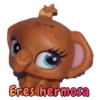 Bob el cerdito Oficial 19