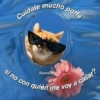 😎🔥 Memes pa' ligar 2 🔥😏🥵 25