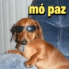 mó paz