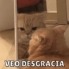 Dilo con Michis pt.5 🐱🤎 10