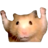 Apenas os melhores memes 13