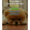 Flerte putaria 9