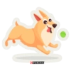 Día del Perro Purina 8