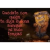 Bob cholo 12