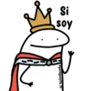 🌈Flork Mixteadito 2🧦 11