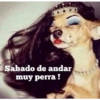 Memes para divertirse 6🤪 10