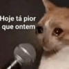 Hoje tá pior
que ontem