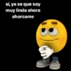 sí, ya se que soy muy linda ahora ahorcame