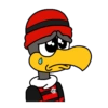 Urubu de Flamengo 7