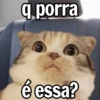 q porra
é essa?