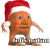 felis natau