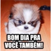 Bom dia engraçado 6