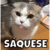 Animalitos 12