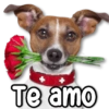 Te amo
