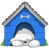 Cute dog 10