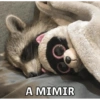 A MIMIR