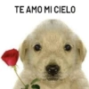 TE AMO MI CIELO