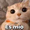 TE
Es mío