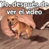 Yo, después de ver el vídeo