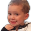 @harley stickers