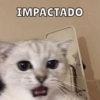 Dilo con Michis pt.5 🐱🤎 12