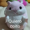 No les pasa que ✨ Shitpost ✨ 27