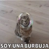 SOY UNA BURBUJA