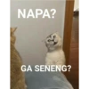 Gelap-Gelap 8