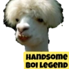 HANDSOMe BOI LEGEND