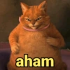 aham