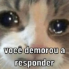 BOIOLINHA POR VOCÊ 💖💗✌🏻 12