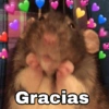 Gracias