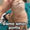 🌈 Gatitos para responder 5 🐈 9