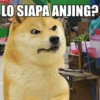 LO SIAPA ANJING?