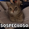 MM 866.323,9512
W
2.00-
Hold
r/Finalist 25
IMPLANTS
ON 251-343-
SOSPECHOSO