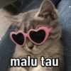 Kicong gemezz 5
