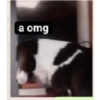Perrita xd 5