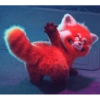 Red 29