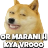 NON VEG MEME DOG 5