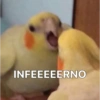 Meme 23