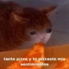 tanta pizza y tú pizzaste mis
sentimientos