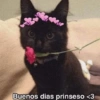 No les pasa que ✨ Shitpost ✨ 30