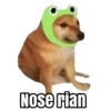 Nose rian
