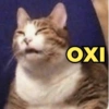 ΟΧΙ